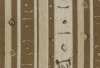 žinylka 1133