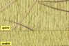 898 / 894